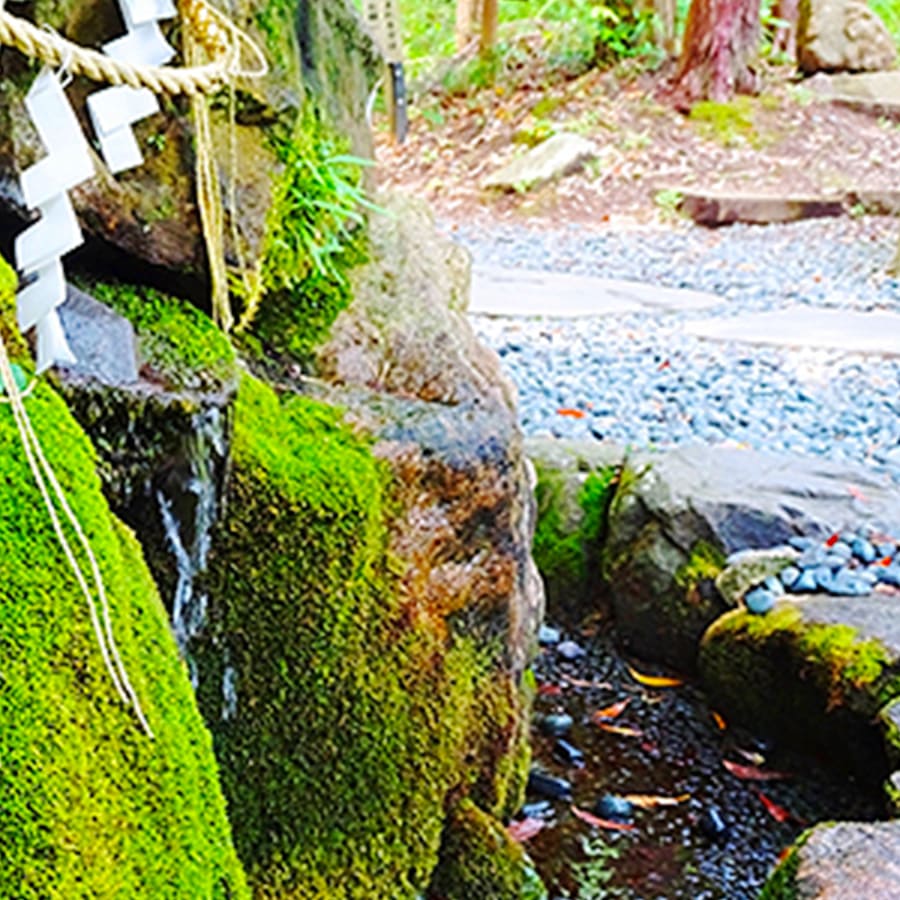 神社にある湧水